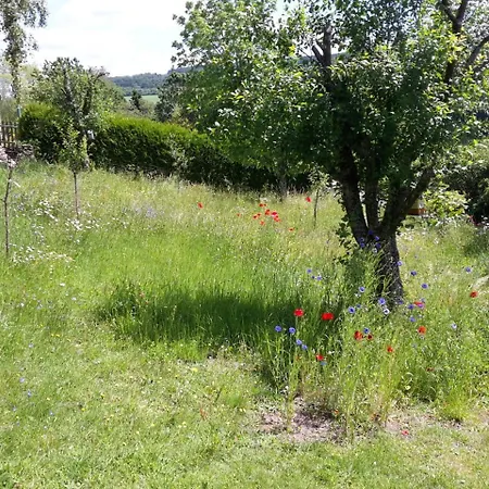 Apartamento - Im Parterre Und Obergeschoss